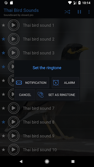 Thai Bird Sounds ~ Sboard.pro Screenshot 2