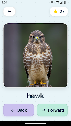PikaLex: Learn with Flashcards Screenshot 1