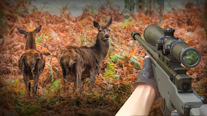 Deer Hunting Offline Games Screenshot 0