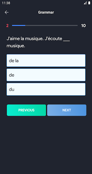 Grammar French exercises Screenshot 3