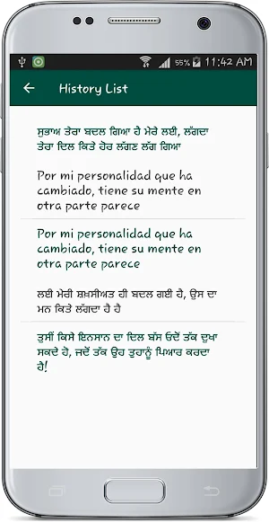 Punjabi Spanish Translate Screenshot 3