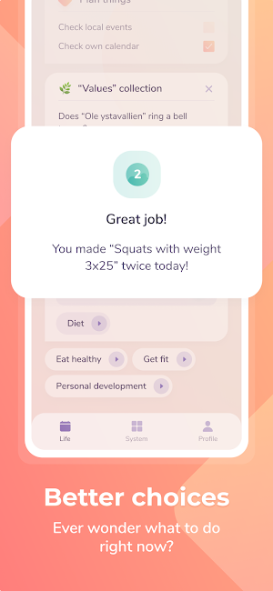 LifeSystem: Routines, Choices, Things that Matter Screenshot 1