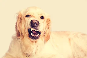 Dog barking soundboard screenshot 4