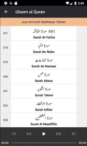Uloom ul Quran - Audio Screenshot 2