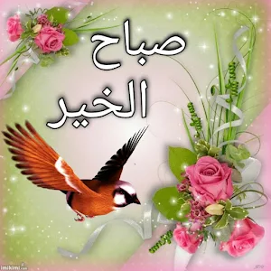 صور و رسائل صباح ومساء 2023 Screenshot 2