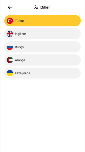 Gezeceyik Screenshot 3