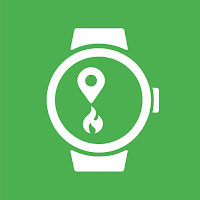 Activity Complication / WearOS