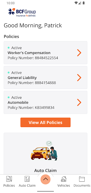BCF Group Online Screenshot 1