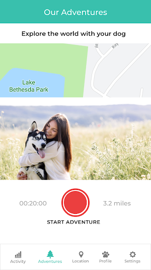 Link My Pet Screenshot 2