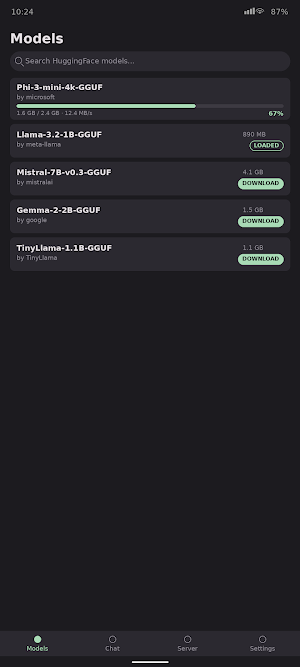 LLM Server — On-Device AI API Screenshot 3