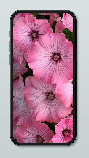Flower Wallpaper HD 4k Screenshot 1