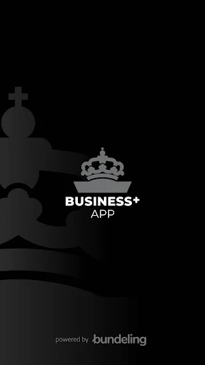 RSG Business Screenshot 0