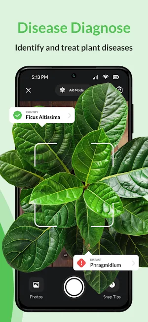 Plantoo: AI Care & Identifier Screenshot 1