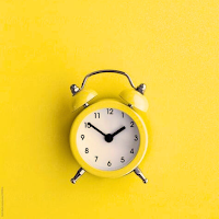 Yellow Things Wallpaper