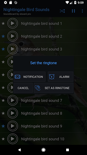 Nightingale bird sounds ~ Sboard.pro Screenshot 2