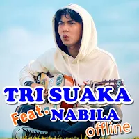 Album Lagu Tri Suaka Nabila