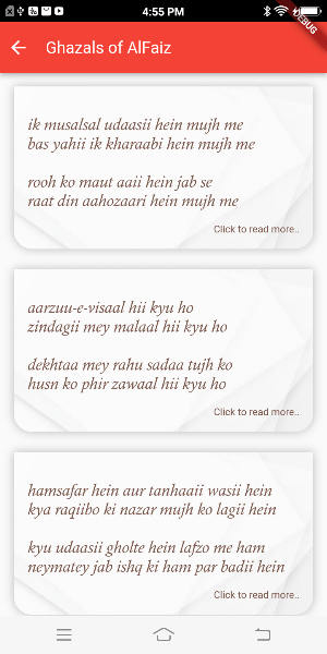 Urdu Shanaas Screenshot 2