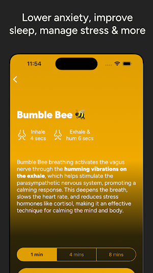 Bliss: Breathing Exercises Screenshot 2