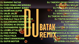 DJ Batak Remix 2025 Screenshot 0