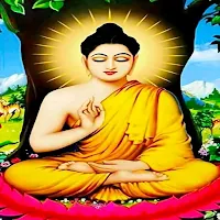 Daily Powerful Buddha Quotes
