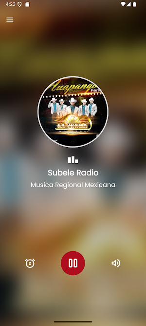Subele Radio Screenshot 3