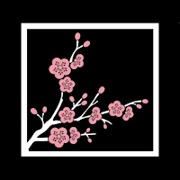 Sushi Naka Naka