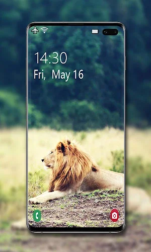 Lion Wallpaper 🦁 Screenshot 3