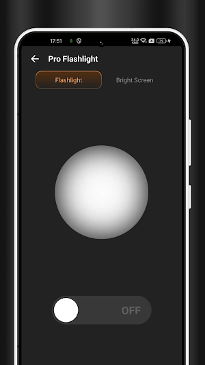 Scan Light Screenshot 2