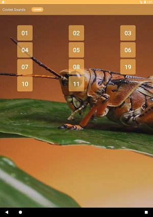 Cricket Sounds Screenshot 3