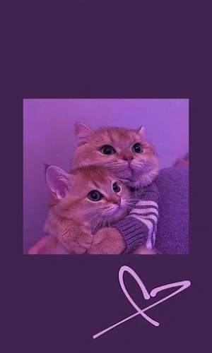love aesthetic wallpaper/gif Screenshot 3