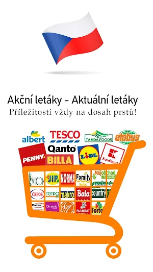 Flyers & Discounts & Catalogs Screenshot 1