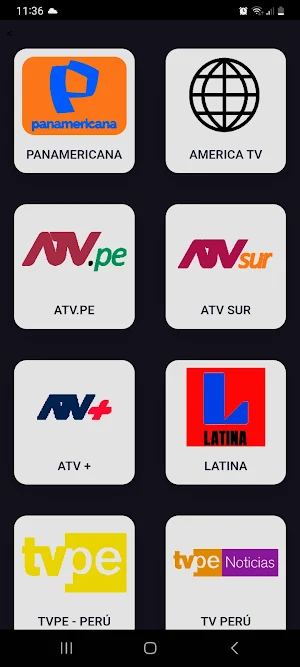 TV Canales Peruanos En Vivo Screenshot 2