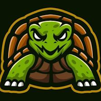 AI Turtle Scanner