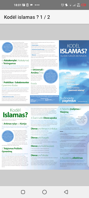Kodėl islamas? Screenshot 1
