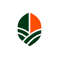 Rvd Group