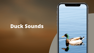 Duck Sounds Screenshot 1