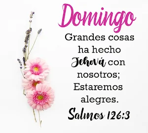 Biblia Dios Habla Hoy Screenshot 2