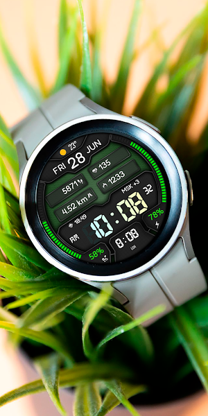 NAGAMON DIGI WS10 Watch face Screenshot 3