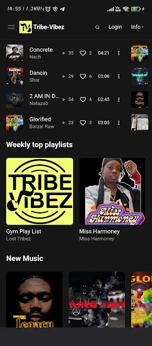 Tribe-Vibez Screenshot 2