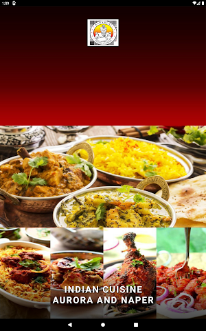 Bawarchi Biryanis Restaurant Screenshot 3