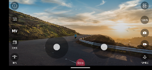 CHUBORY FLY Screenshot 1