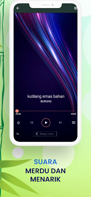 KICAU KUTILANG EMAS JANTAN Screenshot 3