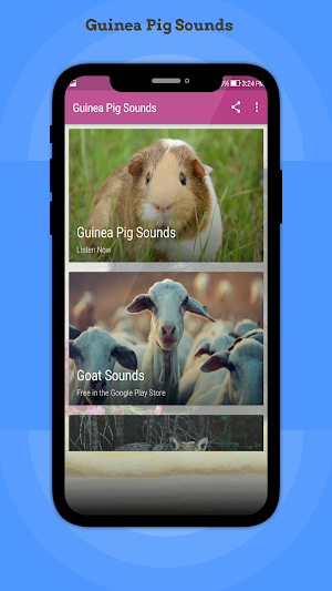 Guinea Pig Sounds Screenshot 0