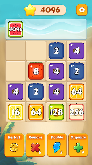Numerboo Mastery Screenshot 2