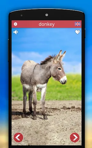 Animal Sounds Screenshot 1