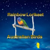 Tiles puzzle Bird's