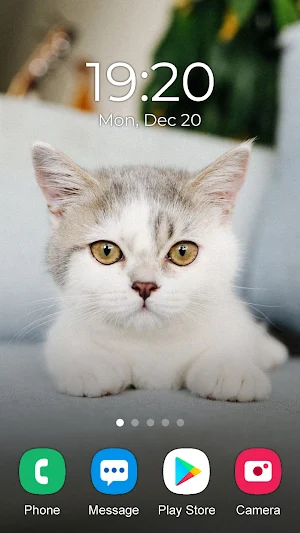 Cat Wallpaper 2023 Screenshot 1