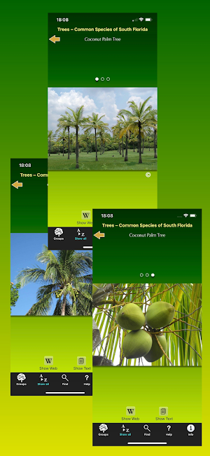 Southern Florida Trees Screenshot 3