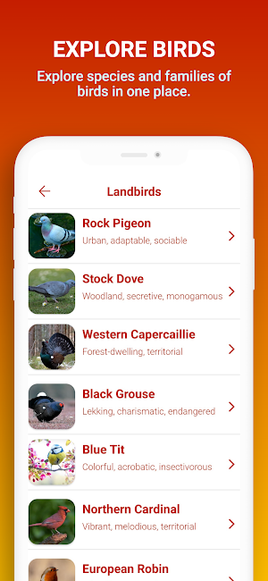 FotoBird Bird Identification Screenshot 2
