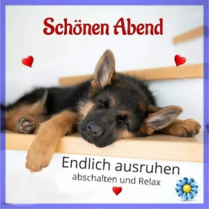 Guten Abend Screenshot 3